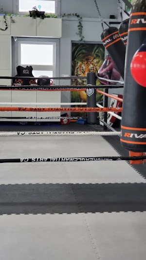 Inside Black Eagle Martial Arts and Sports Performance Center academy