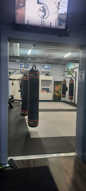 Inside Black Eagle Martial Arts and Sports Performance Center academy