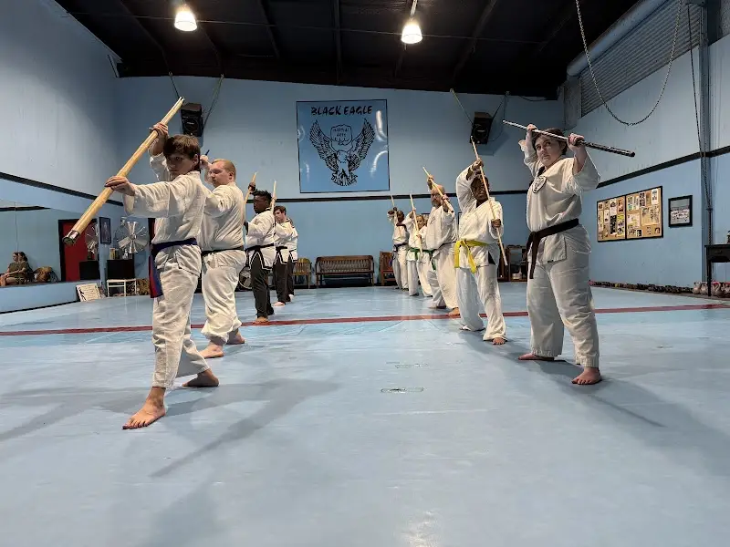 Black Eagle Martial Arts BJJ Academy - photo 1