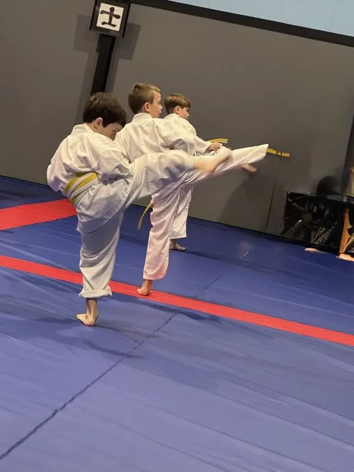 Black Eagle Martial Arts BJJ Academy - photo 2