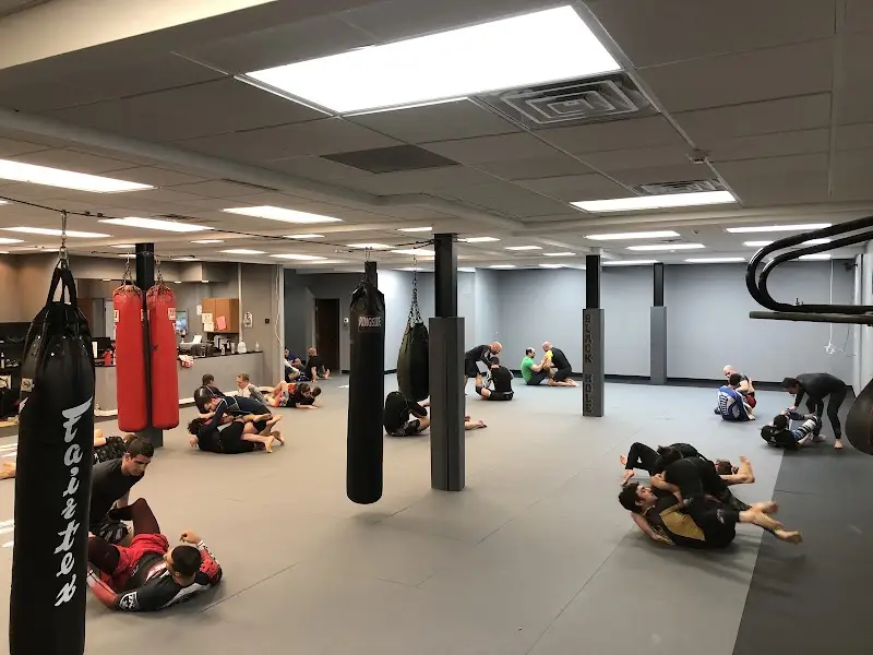 Black Hole Jiu Jitsu