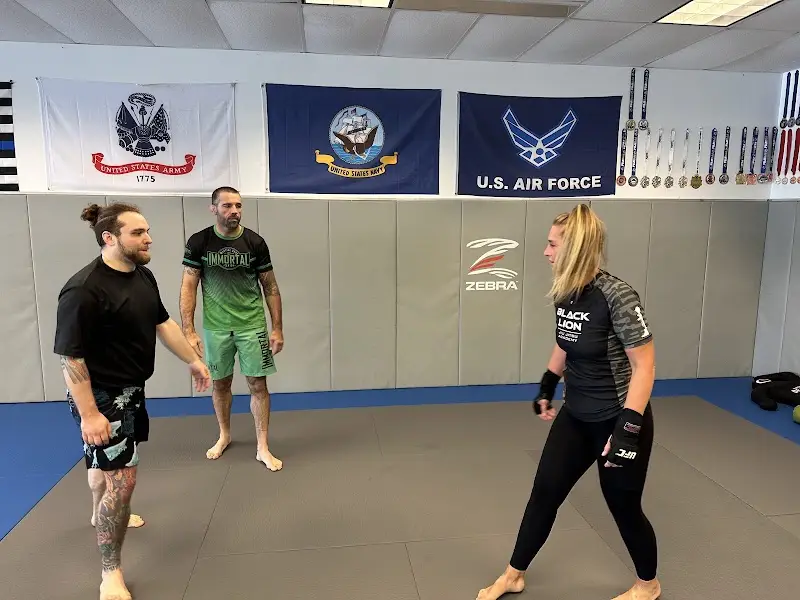 BLACK LION JIU JITSU ACADEMY Grand Rapids Michigan BJJ Academy - photo 1