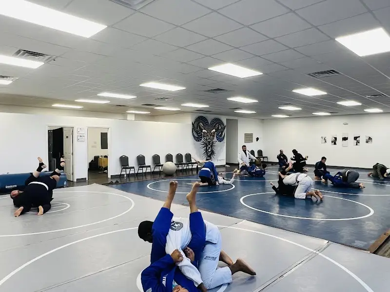 Black Sheep Jiu-Jitsu