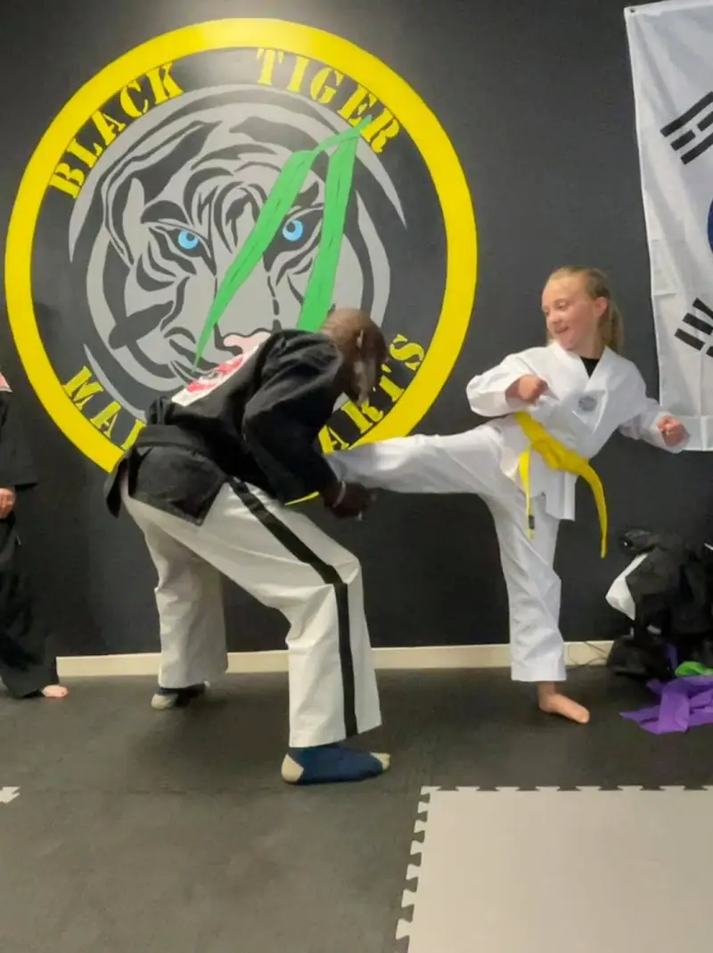 Black Tiger Martial Arts BJJ Academy - photo 1