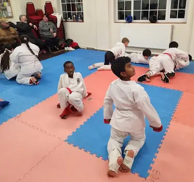 Black Tiger Martial Arts BJJ Academy - photo 3