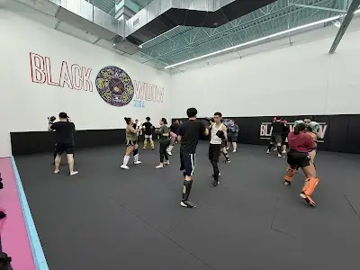 Black Widow MMA BJJ Academy - photo 1