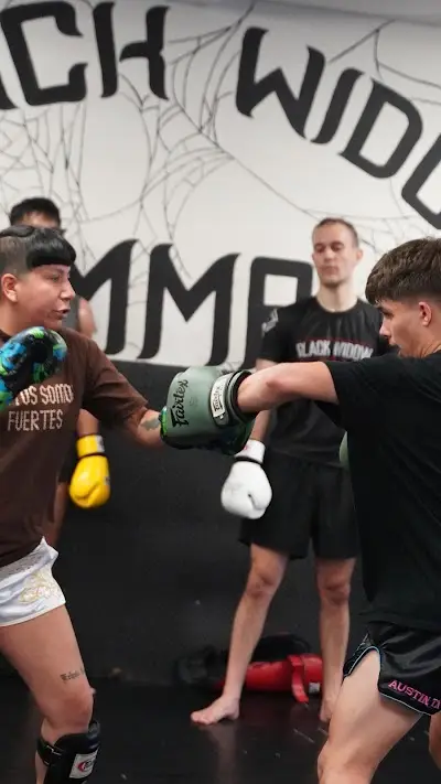 Black Widow MMA BJJ Academy - photo 2