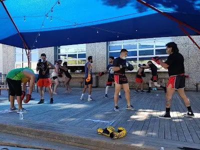 Black Widow MMA BJJ Academy - photo 4