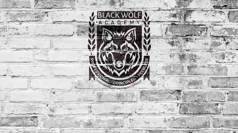 Black Wolf Academy BJJ Academy - photo 2
