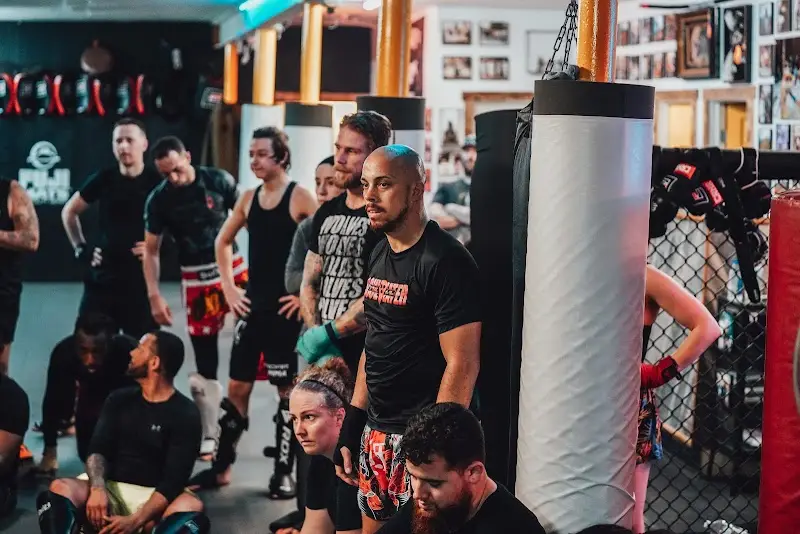 Black Wolf Martial Arts BJJ Academy - photo 2