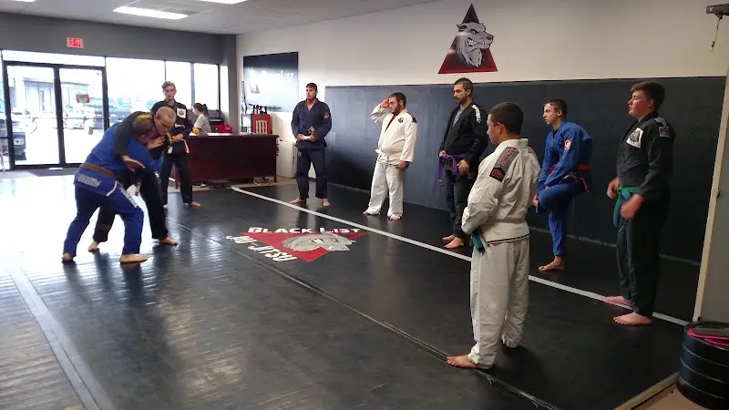Blacklist Martial Arts BJJ Academy - photo 1