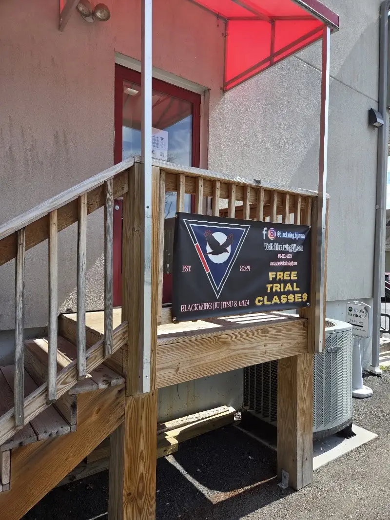 BlackWing Jiu Jitsu & MMA BJJ Academy - photo 1