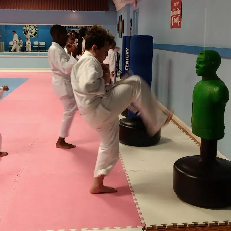 Blann's Martial Arts BJJ Academy - photo 1
