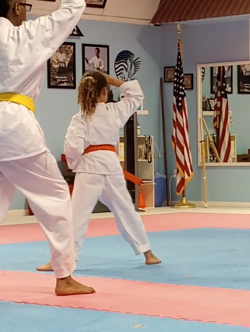 Blann's Martial Arts BJJ Academy - photo 2