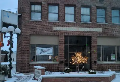 Blissfield Martial Arts BJJ Academy - photo 2