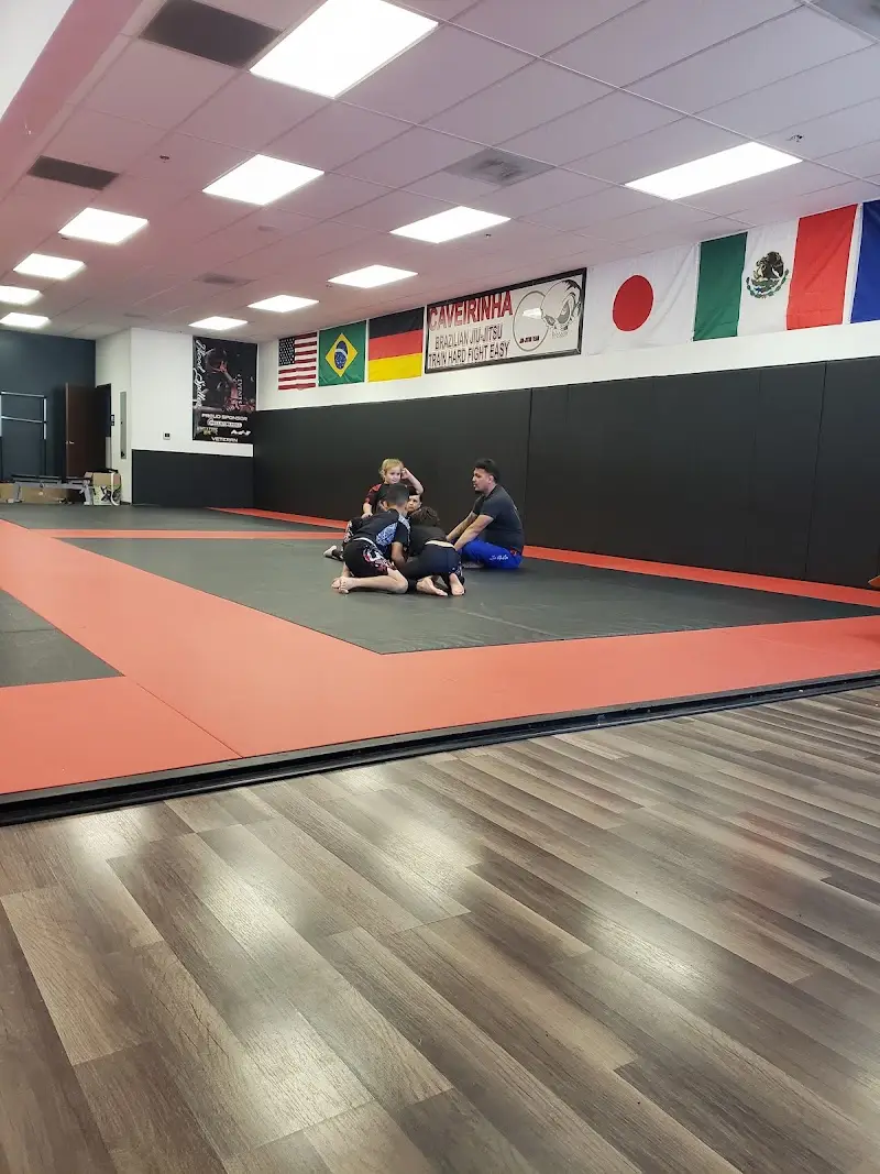 BloodSpillerBJJ & Caveirinha Jiu Jitsu Academy