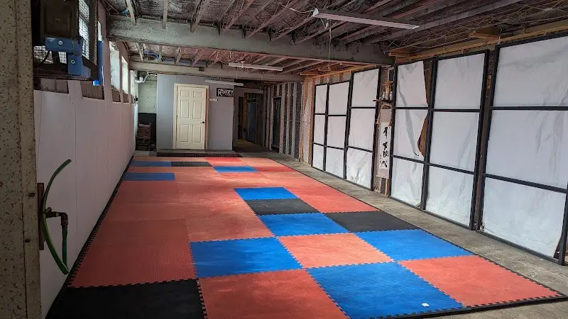 BloomIndoSilat BJJ Academy - photo 1