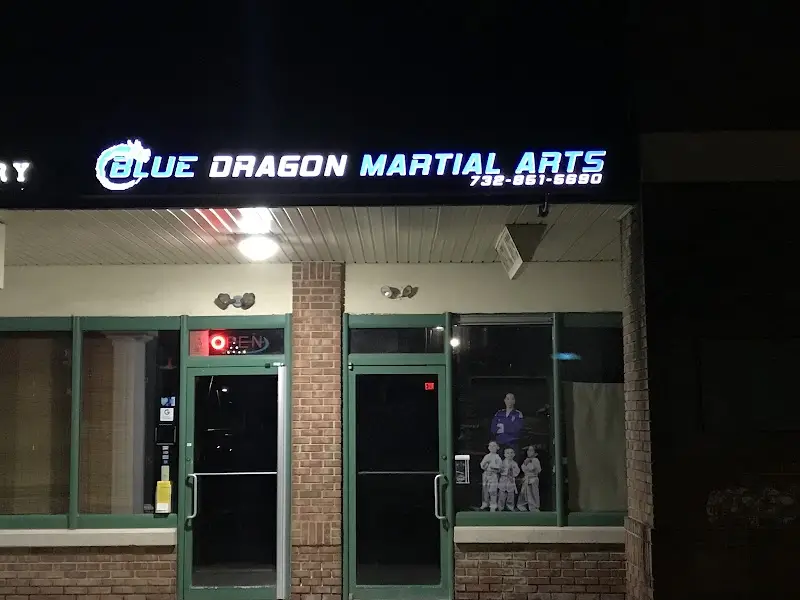 Blue Dragon Martial Arts BJJ Academy - photo 2