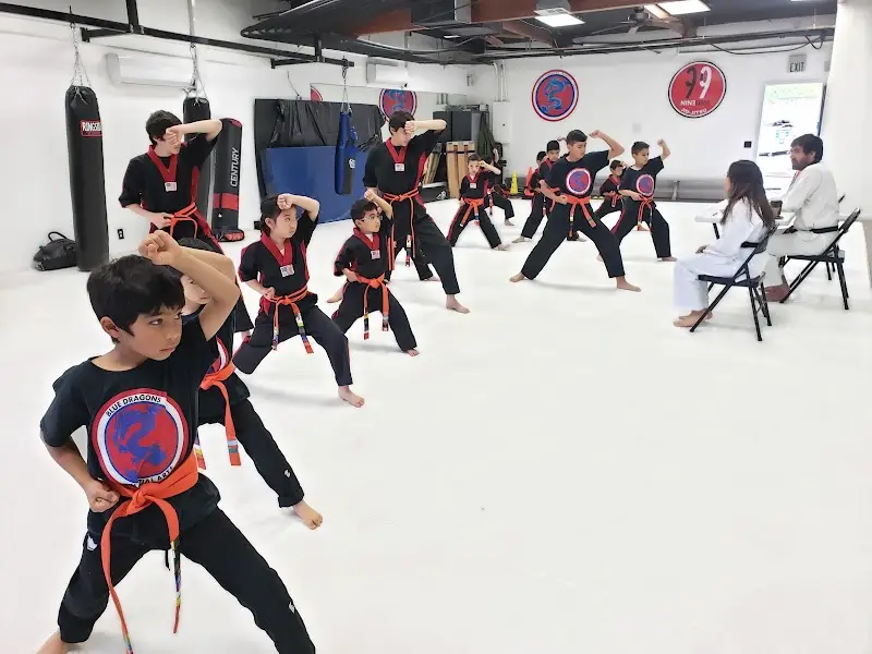 Blue Dragon Taekwondo/Muay Thai/ 99 Jiu-Jitsu