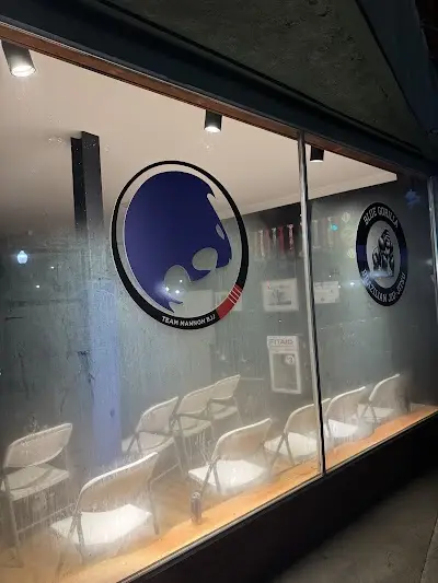 Blue Gorilla Brazilian Jiu-Jitsu BJJ Academy - photo 1