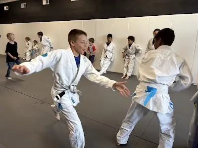 Blue Gorilla Brazilian Jiu-Jitsu BJJ Academy - photo 3