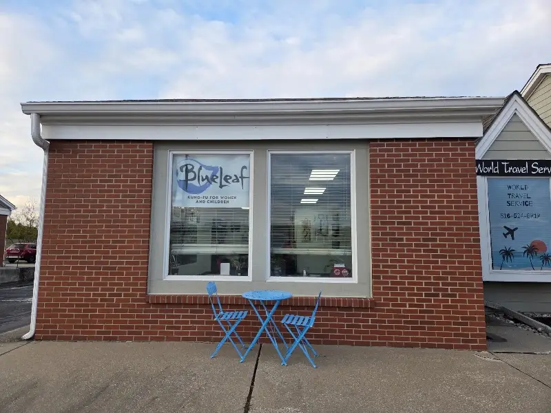 Blue Leaf BJJ Academy - photo 1