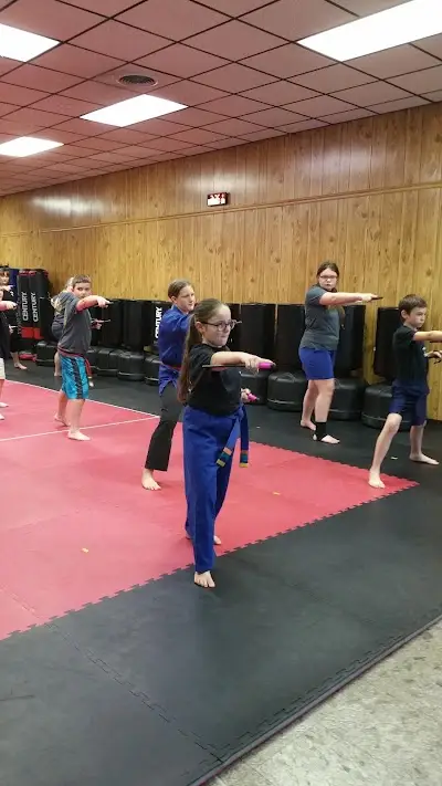Blue Ridge Martial Arts Academy BJJ Academy - photo 4