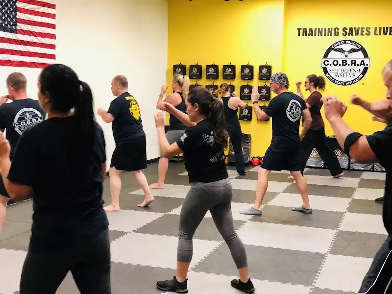 Blue Ridge Self Defense BJJ Academy - photo 1
