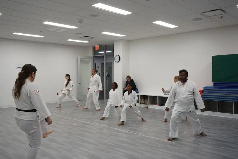 Blue Wave Foundation BJJ Academy - photo 1