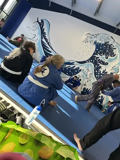 Blue Wave Martial Arts Ltd BJJ Academy - photo 1