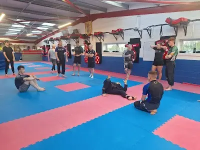 BOA BJJ BJJ Academy - photo 2