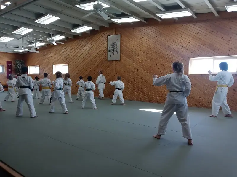 Bob Aldis' Bushido Martial Arts Inc