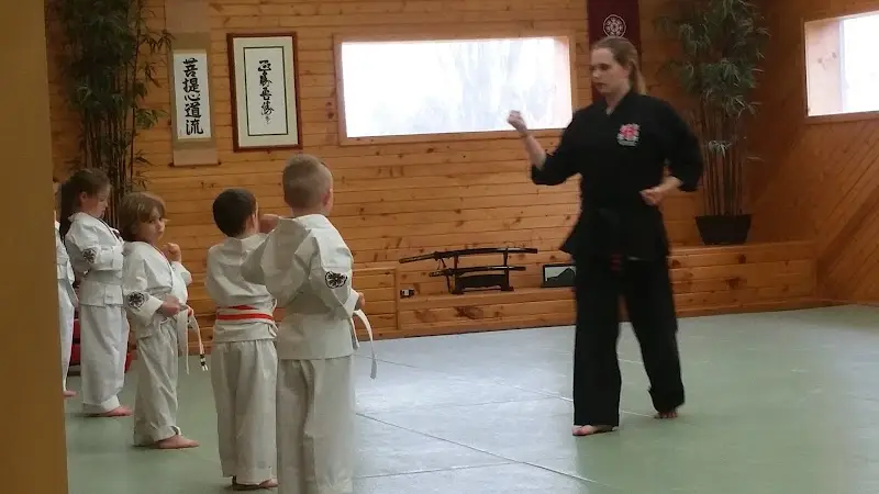 Bob Aldis' Bushido Martial Arts Inc BJJ Academy - photo 1