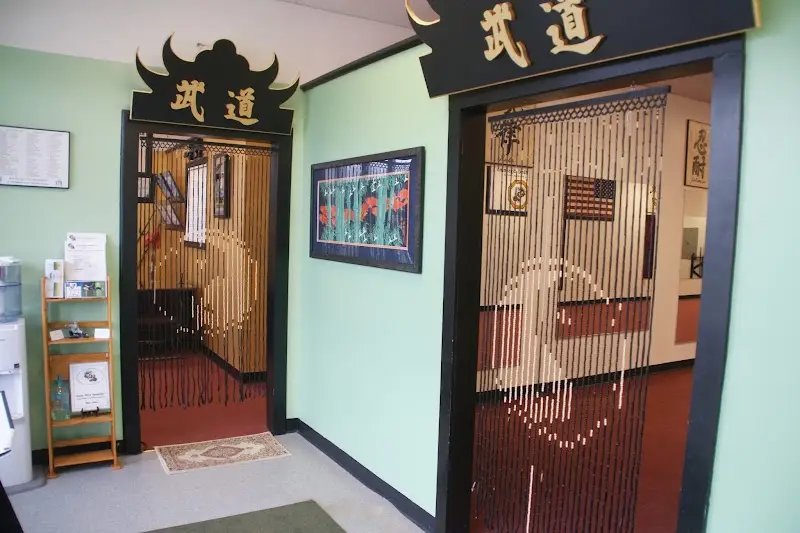 Body Mind Systems Martial Arts Center BJJ Academy - photo 2