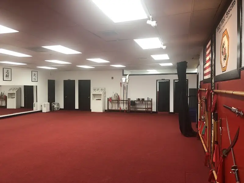 Body Mind Systems, Stoneham