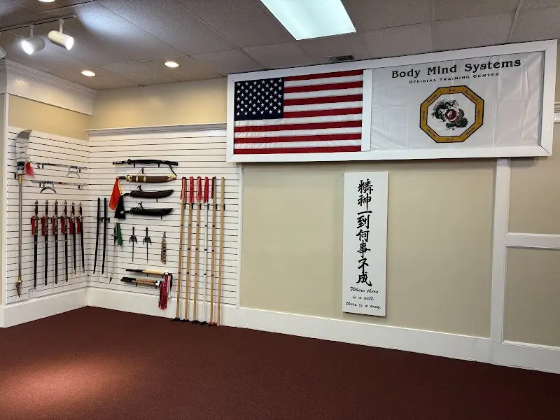 Body Mind Systems BJJ Academy - photo 1