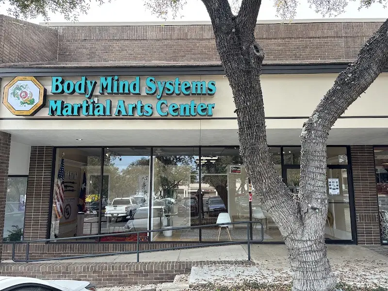 Body Mind Systems BJJ Academy - photo 2