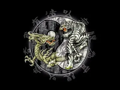 Bok fu dynasty BJJ Academy - photo 3