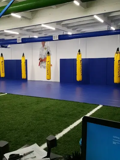 Bonita Martial Arts Academy & Fitness Federation BJJ Academy - photo 2