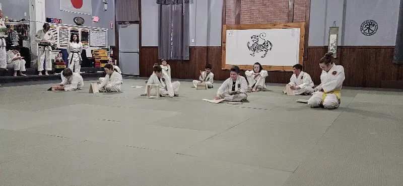 Borges Martial Arts BJJ Academy - photo 1