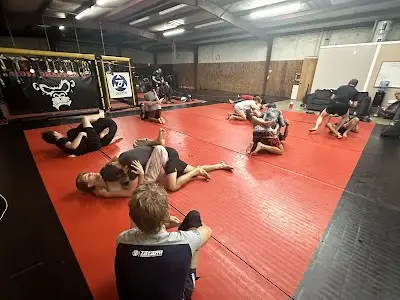 Boss Grappling Brazilian Jiu Jitsu BJJ Academy - photo 2