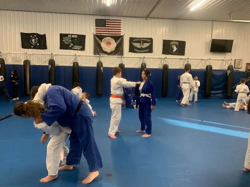 BOWEN COMBATIVE ARTS ACADEMY BJJ Academy - photo 1