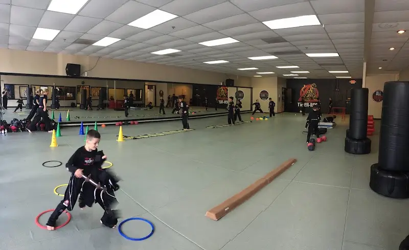Bowen's Tiger Rock Martial Arts Woodstock BJJ Academy - photo 1