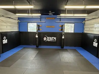BPi Fight: BioPerformance Institute Fighting Systems