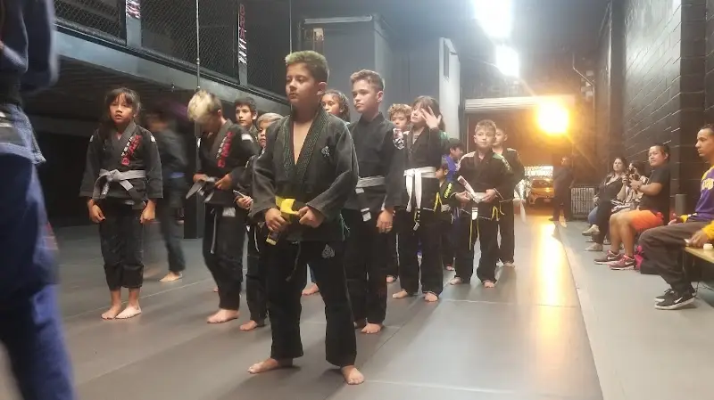 BRAGA JIU-JITSU BJJ Academy - photo 2