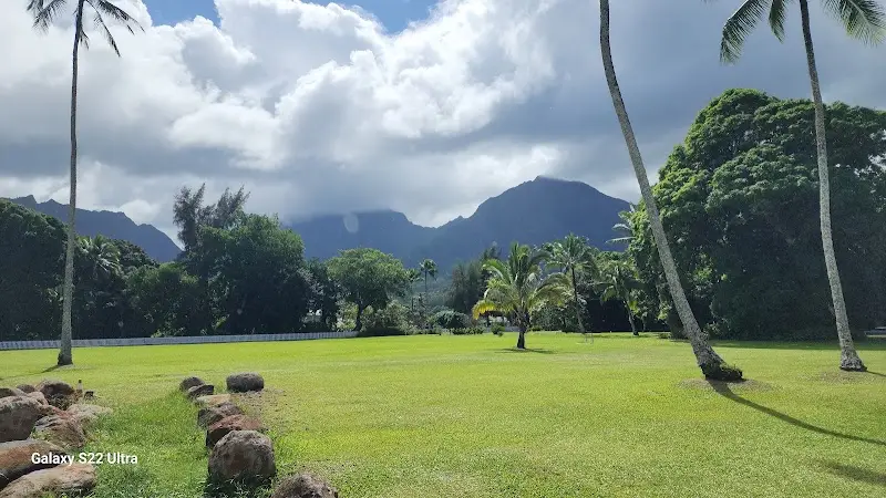 Bragiao BJJ MMA Kauai BJJ Academy - photo 1