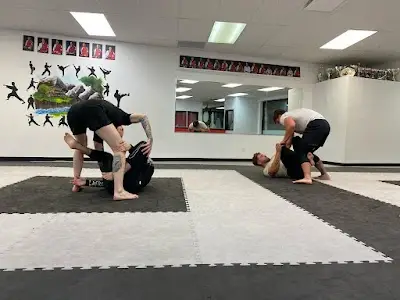 Bravado BJJ Rive-Sud BJJ Academy - photo 1