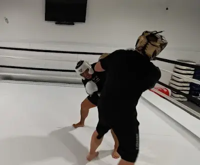 Brave Martial Arts Institute Inc. BJJ Academy - photo 2
