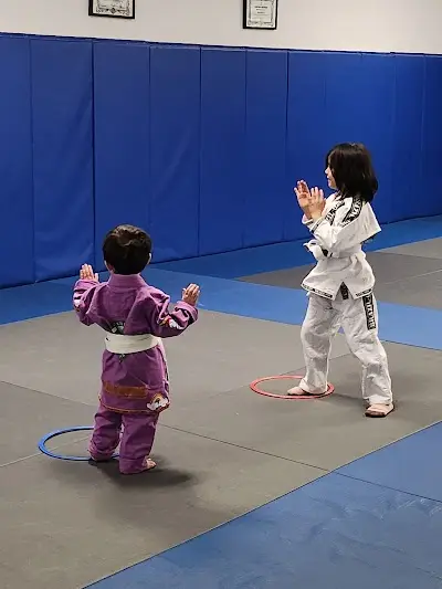 Brazil 021 BJJ - Jiu-Jitsu in Chicago BJJ Academy - photo 2