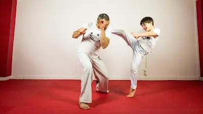 Brazilarte Academy